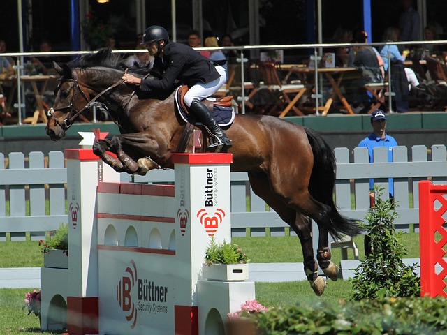 但从中可以 但从中可以