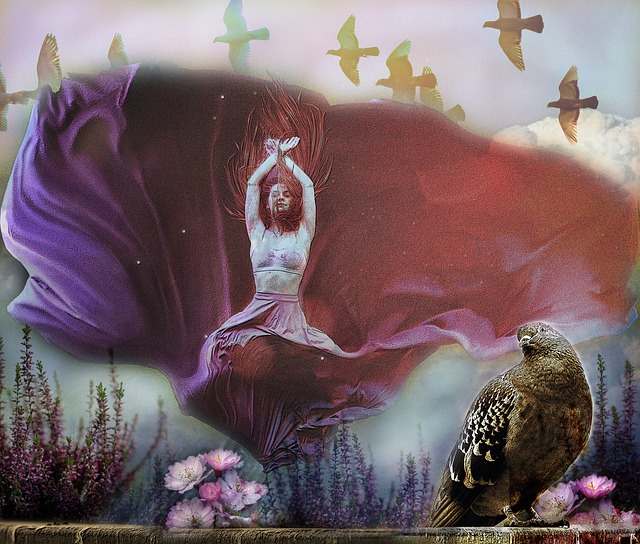 该赛事特有 该赛事特有