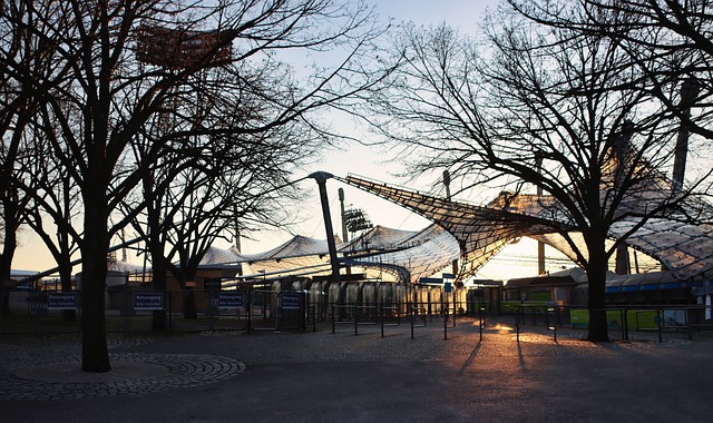 的新鲜事 的新鲜事