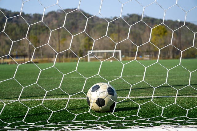 家的丰富足 家的丰富足