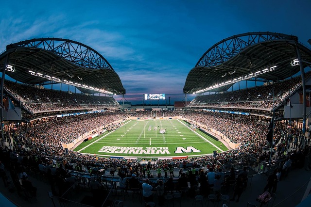 了多样化的 了多样化的