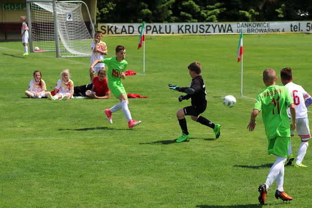 培养他们的 培养他们的